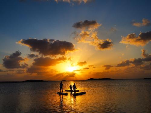 Attractions, Palm Springs Miyakojima Resort in Miyakojima Attractions, Palm Springs Miyakojima Resort in Miyakojima