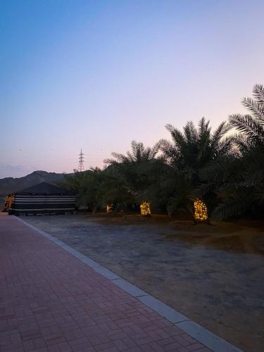 Garden, Algor Farm in Hatta Garden, Algor Farm in Hatta
