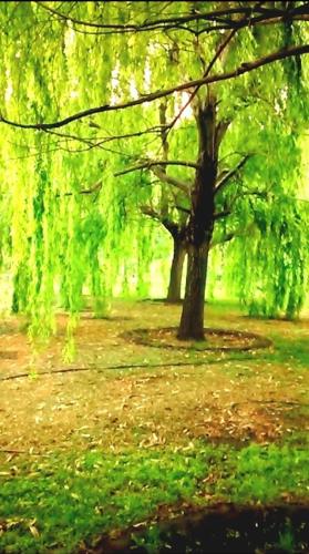 La casa de aminga dpto Castro barros La Rioja Argentina in Aimogasta La casa de aminga dpto Castro barros La Rioja Argentina in Aimogasta