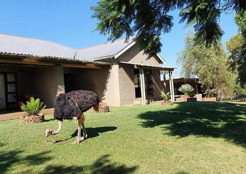 Berlouri Guest House in Magaliesburg Berlouri Guest House in Magaliesburg