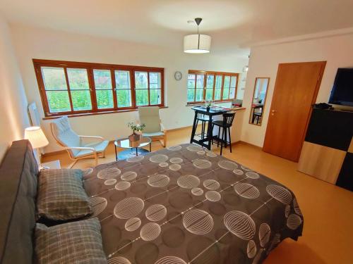 Gastenkamer, Lumineux Appartement Free Parking Nature Ville tt équipé (Lumineux Appartement Free Parking Nature Ville tt equipe) in Thann Gastenkamer, Lumineux Appartement Free Parking Nature Ville tt équipé (Lumineux Appartement Free Parking Nature Ville tt equipe) in Thann