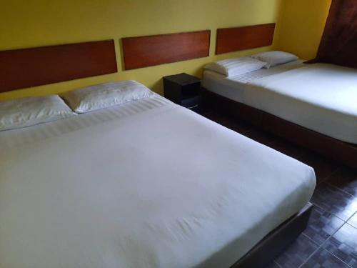 TELUK CHEMPEDAK TC HOTEL in Teluk Cempedak TELUK CHEMPEDAK TC HOTEL in Teluk Cempedak
