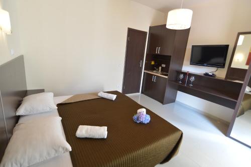 Guestroom, Solar Apartments in Topla Guestroom, Solar Apartments in Topla