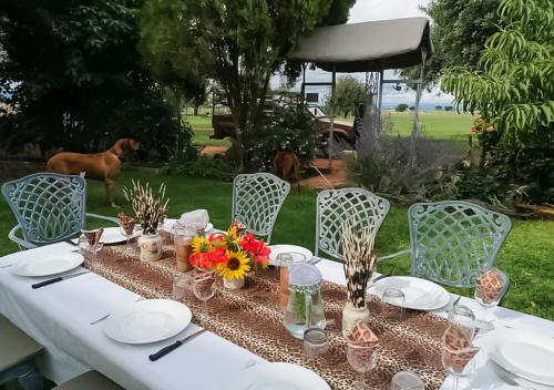 Dotări, Ombe Guestfarm & Safari in Okahandja Dotări, Ombe Guestfarm & Safari in Okahandja