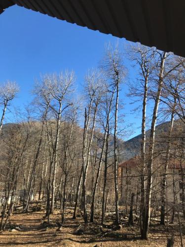 ХВОЯ in Teberda ХВОЯ in Teberda