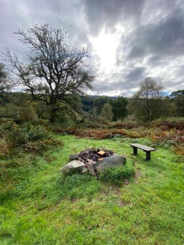 The Nest Glamping Pod in ลอช ลอมอนด์ The Nest Glamping Pod in ลอช ลอมอนด์