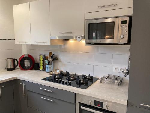 Konyha, Résidence Alpha Centauri (Residence Alpha Centauri) in Conques-Sur-Orbiel Konyha, Résidence Alpha Centauri (Residence Alpha Centauri) in Conques-Sur-Orbiel