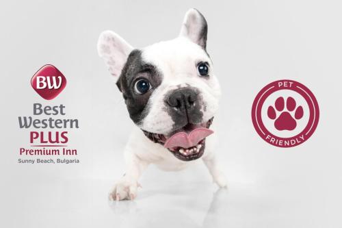 Best Western PLUS Premium Inn in Несебир Best Western PLUS Premium Inn in Несебир