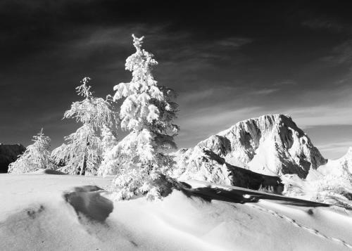 Almhaus Nassfeld in 黑馬戈爾 Almhaus Nassfeld in 黑馬戈爾