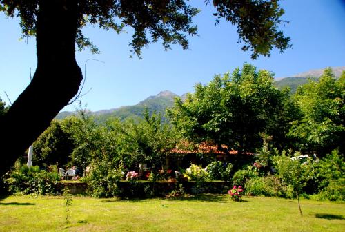 This photo about Alekas Studios shared on HyHotel.com