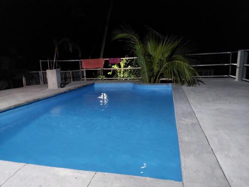 مسبح, لو باندانوس (Le Pandanus) in Baie Malgache مسبح, لو باندانوس (Le Pandanus) in Baie Malgache