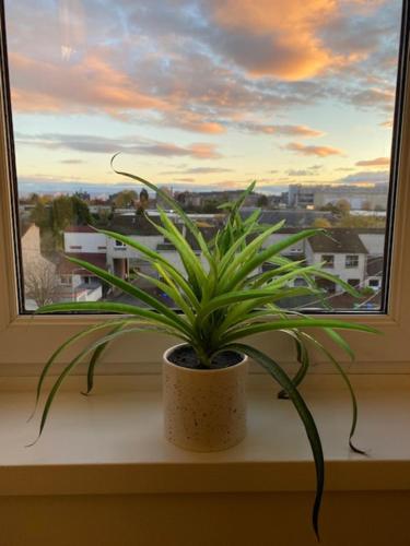 Self-contained luxurious feel apartment in Dunfermline Self-contained luxurious feel apartment in Dunfermline