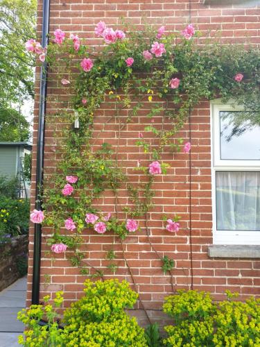 No 4, The Perfect Escape to the Country in Hawkhurst No 4, The Perfect Escape to the Country in Hawkhurst