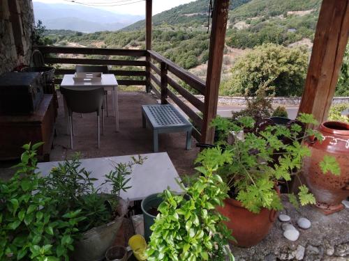 The Artist's House in Olympia The Artist's House in Olympia