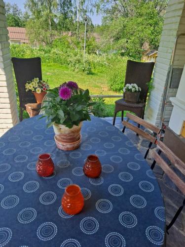 Villa Amy in Міккелі Villa Amy in Міккелі