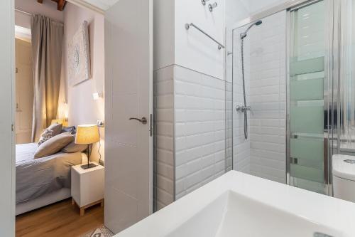 Deluxe Larios Malaga Center