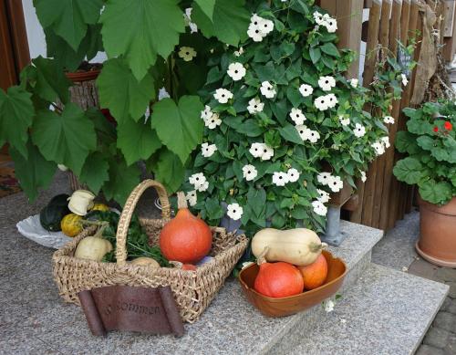 Вхід, Ferienwohnung Karch in Beilngries Вхід, Ferienwohnung Karch in Beilngries