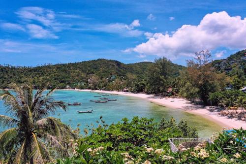 クッキーズ サラダ ホテル19