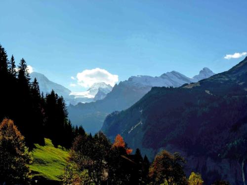Apartment Breithorn-Residence-3 by Interhome in Wengen Apartment Breithorn-Residence-3 by Interhome in Wengen