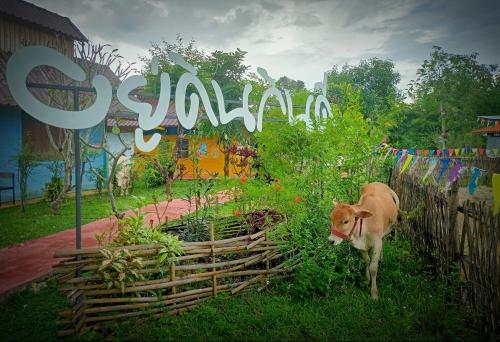 ヨウディン キンディー ファームステイ14