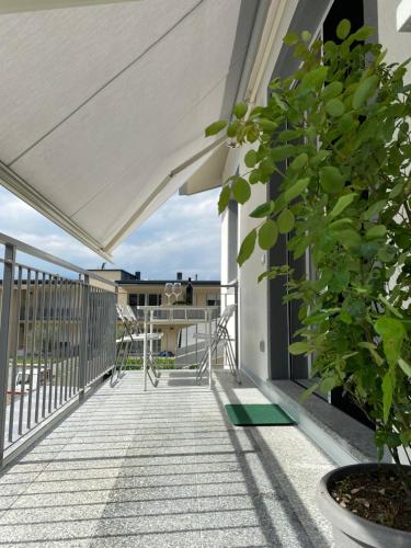 Balcony/terrace, Appartamento Valeriana in Dubino Balcony/terrace, Appartamento Valeriana in Dubino