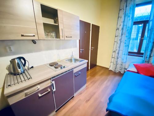 Kitchen, Pension 15 in Prague 03 Kitchen, Pension 15 in Prague 03