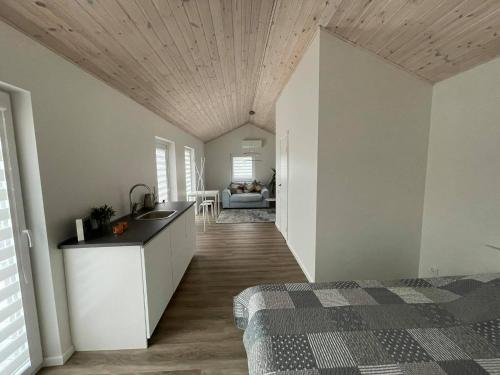 ROKO house in Anyksciai ROKO house in Anyksciai