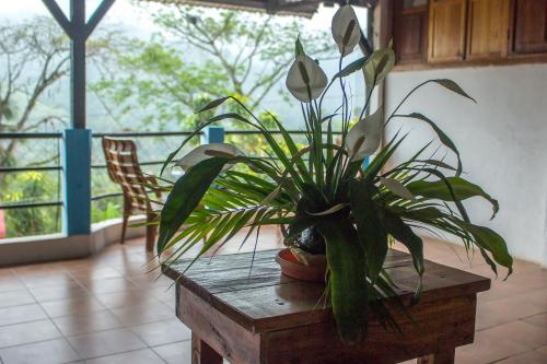 Balcony/terrace, Hotel Rabin Itzam in Lanquin Balcony/terrace, Hotel Rabin Itzam in Lanquin