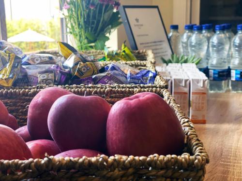 Food and beverages, Orchid Epsom; Sure Hotel Collection by Best Western in Greater London South West Food and beverages, Orchid Epsom; Sure Hotel Collection by Best Western in Greater London South West