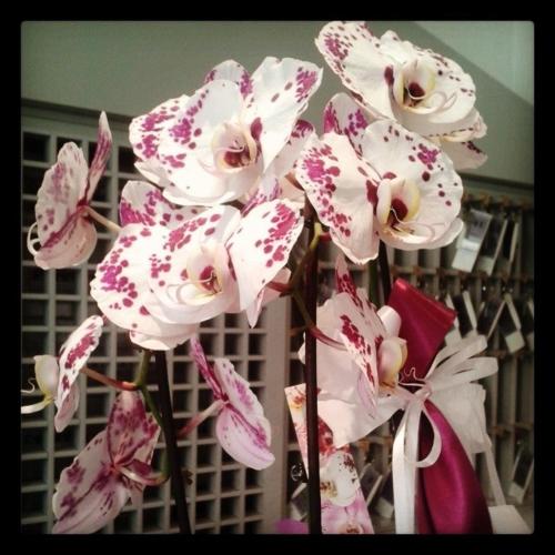 This photo about Hotel Universo shared on HyHotel.com