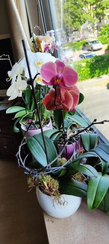 Schones Privatzimmer LGBTQ freundlich in Wedding Schones Privatzimmer LGBTQ freundlich in Wedding