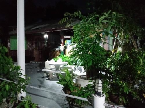 Garden, Comon Bungalow HaadChaoPhao in Ko Pha-ngan Garden, Comon Bungalow HaadChaoPhao in Ko Pha-ngan