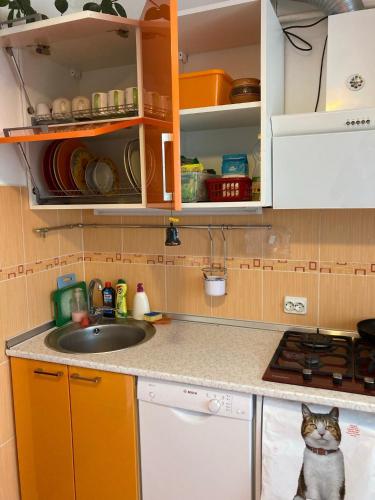 مطبخ, Apartament Bazyla in Truskavets مطبخ, Apartament Bazyla in Truskavets