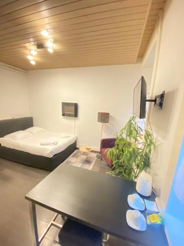 B&B Guest House Du Lac in มอนโตร ซิตี เซนเตอร์ B&B Guest House Du Lac in มอนโตร ซิตี เซนเตอร์