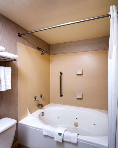 화장실, 베스트웨스턴 다운타운 피닉스 (Best Western Downtown Phoenix) in 피닉스 (AZ) 화장실, 베스트웨스턴 다운타운 피닉스 (Best Western Downtown Phoenix) in 피닉스 (AZ)
