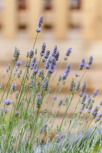 This photo about Camping Delfino shared on HyHotel.com