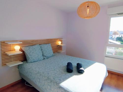 Le 5 SUD Anglet Piscine Parking WIFI in Anglet Le 5 SUD Anglet Piscine Parking WIFI in Anglet