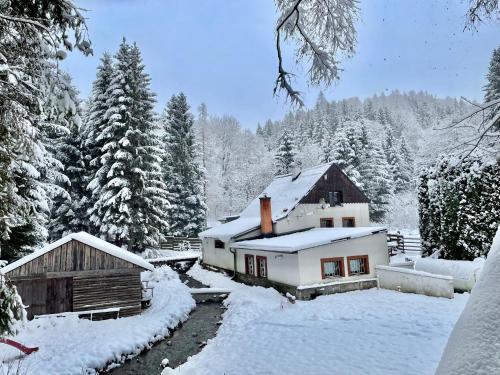 Paprsek - Chalupa V Medvědí rokli - Bärengraben (Paprsek - Chalupa V Medvedi rokli - Barengraben) in Stare Mesto Pod Sneznikem Paprsek - Chalupa V Medvědí rokli - Bärengraben (Paprsek - Chalupa V Medvedi rokli - Barengraben) in Stare Mesto Pod Sneznikem