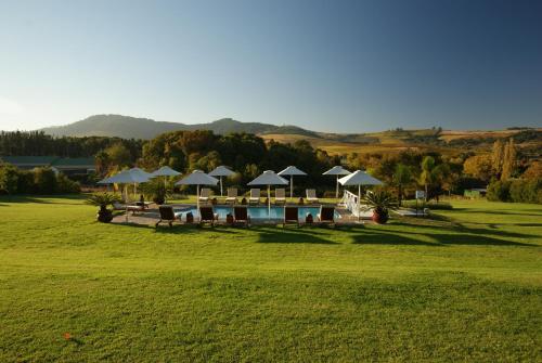 Úszómedence, Cultivar Guest Lodge in Stellenbosch Úszómedence, Cultivar Guest Lodge in Stellenbosch