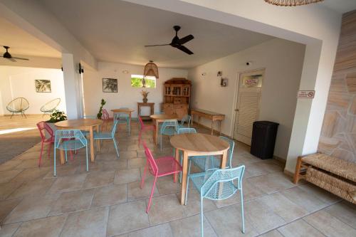 מתקני המלון, Lazy Parrot Inn in רינקון מתקני המלון, Lazy Parrot Inn in רינקון