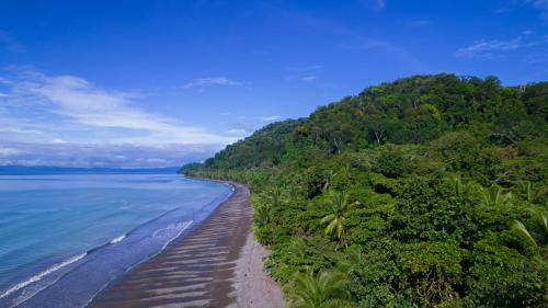 Beach, Dolphin Quest Costa Rica in Peninsula De Osa Beach, Dolphin Quest Costa Rica in Peninsula De Osa