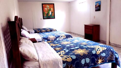 Hotel Alejandra in San Cristobal De Las Casas Hotel Alejandra in San Cristobal De Las Casas