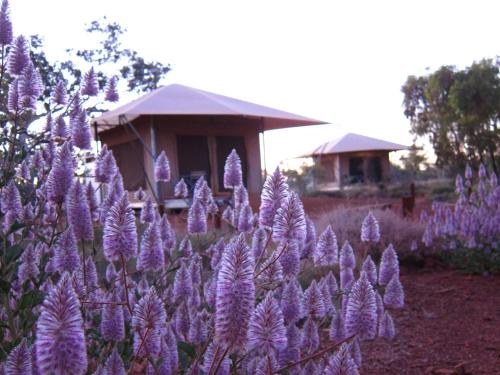 周邊環境, 卡里基尼回聲度假酒店 (Karijini Eco Retreat) in 卡瑞吉尼 周邊環境, 卡里基尼回聲度假酒店 (Karijini Eco Retreat) in 卡瑞吉尼