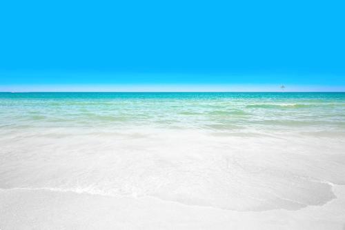 Good Vibes in Seminole (FL) Good Vibes in Seminole (FL)