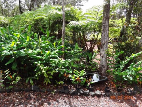 在meiguo.com看到的阿尔伊凯恩简易别墅及阁楼旅馆的介绍图片