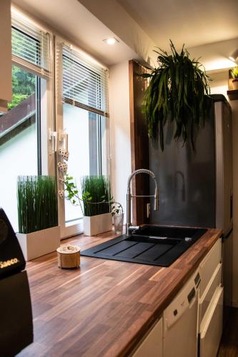 Konyha, Dom na Wynajem - Bartoszówka (Dom na Wynajem - Bartoszowka) in Lopuszna Konyha, Dom na Wynajem - Bartoszówka (Dom na Wynajem - Bartoszowka) in Lopuszna