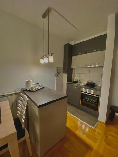 المرافق, MAX Apartman Klimatizovan in Obudojevica المرافق, MAX Apartman Klimatizovan in Obudojevica