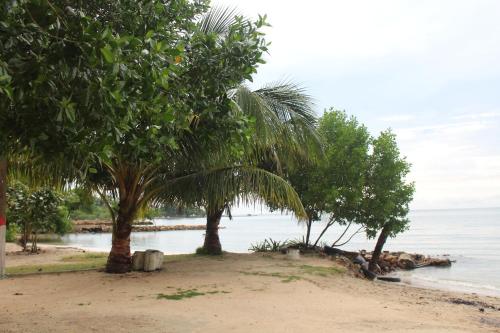 Mar y Tierra in El Bobo Mar y Tierra in El Bobo
