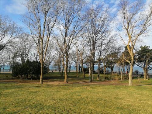 Квартира Лазурная in Anapa Квартира Лазурная in Anapa