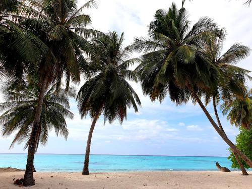 Beach, Island Luxury Fulhadhoo Boutique Hotel in Goidhoo Atoll Beach, Island Luxury Fulhadhoo Boutique Hotel in Goidhoo Atoll